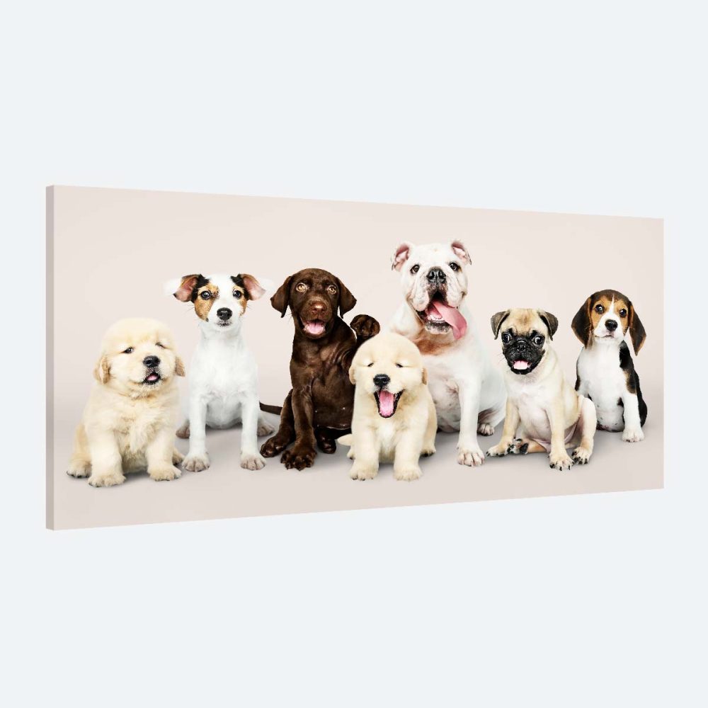 Cadre chiens décoration