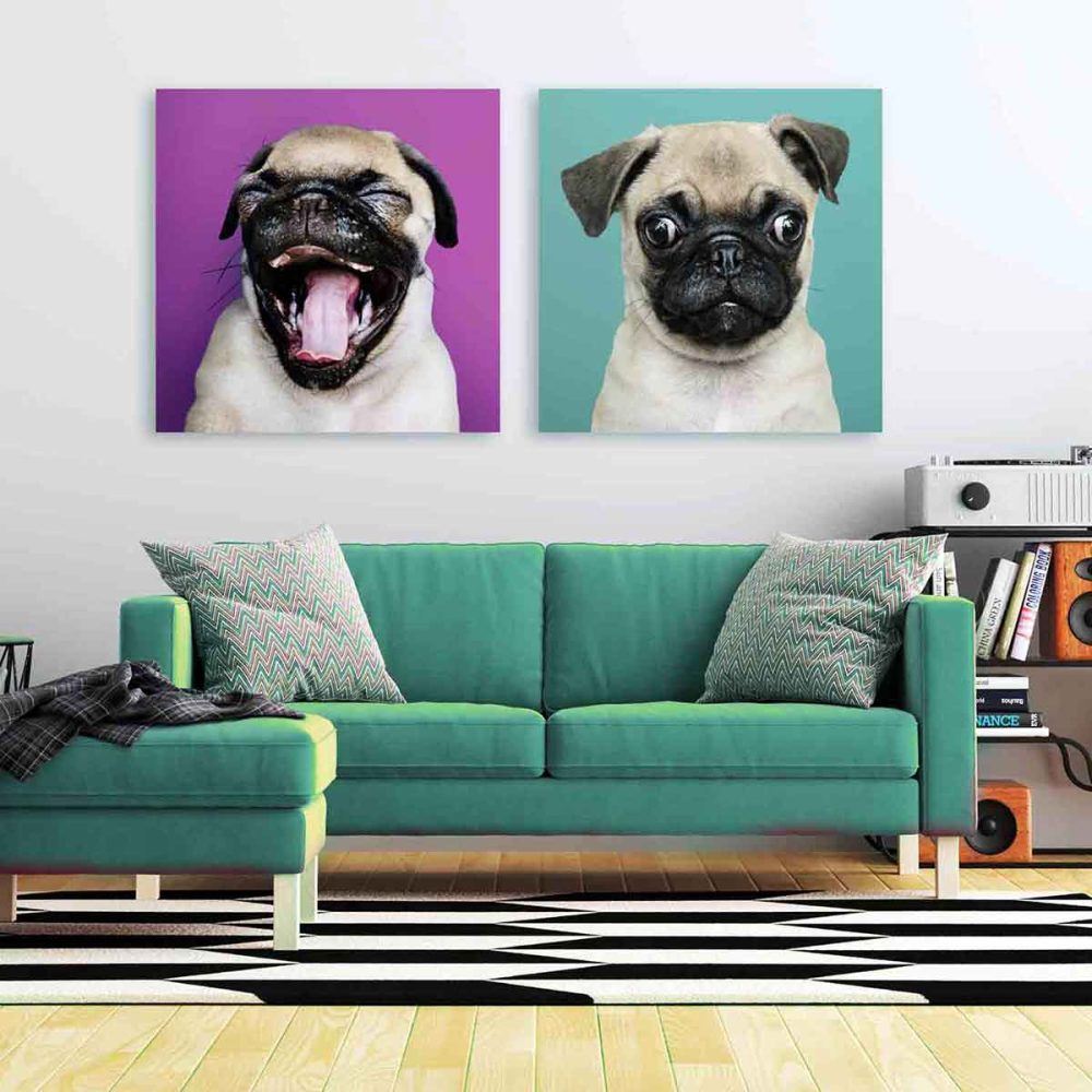 Toile chien Carlin Toile chien Carlin
