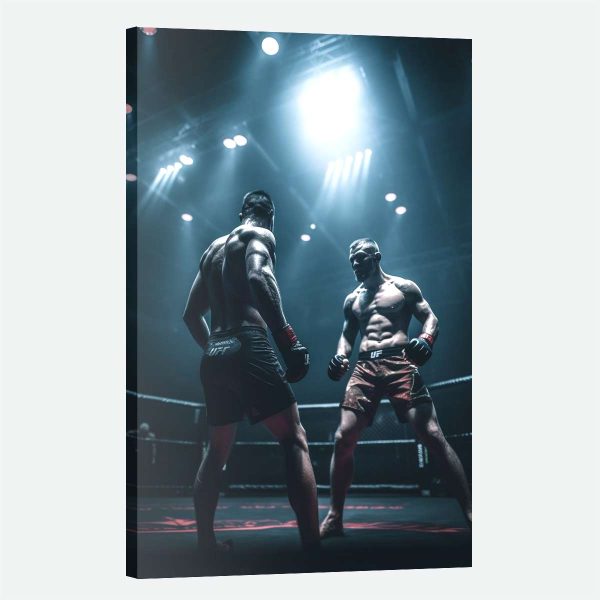 Tableau MMA-combat