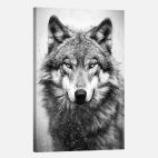 Tableau loup-Noir et blanc