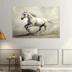 Tableau cheval blanc sauvage