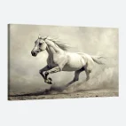 tableau cheval blanc sauvage