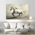 Tableau cheval blanc sauvage