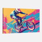tableau velo bmx
