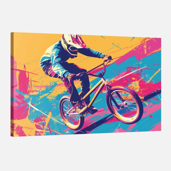 tableau velo bmx