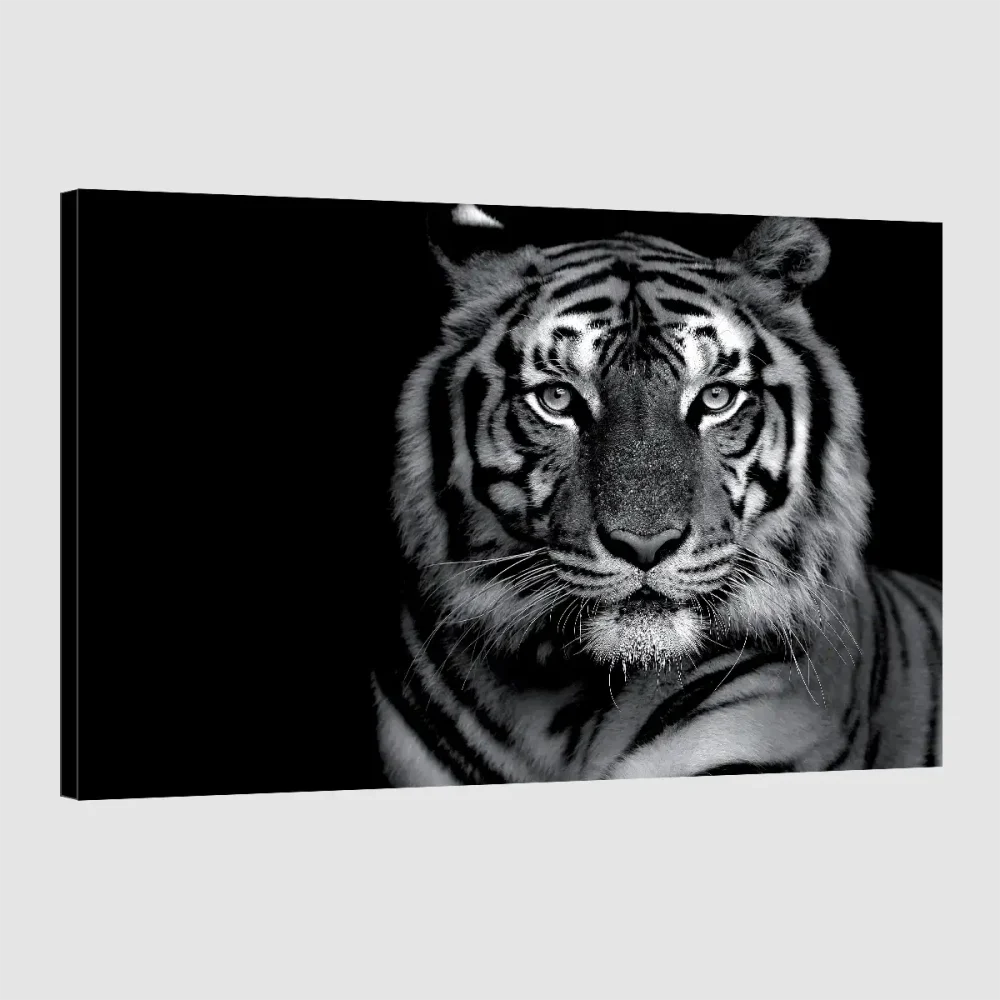 cadre-tigre-noir-et-blanc Cadre tigre noir et blanc