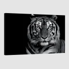 Cadre tigre noir et blanc