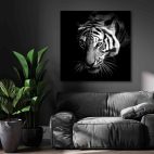 tableau tigre avec cadre