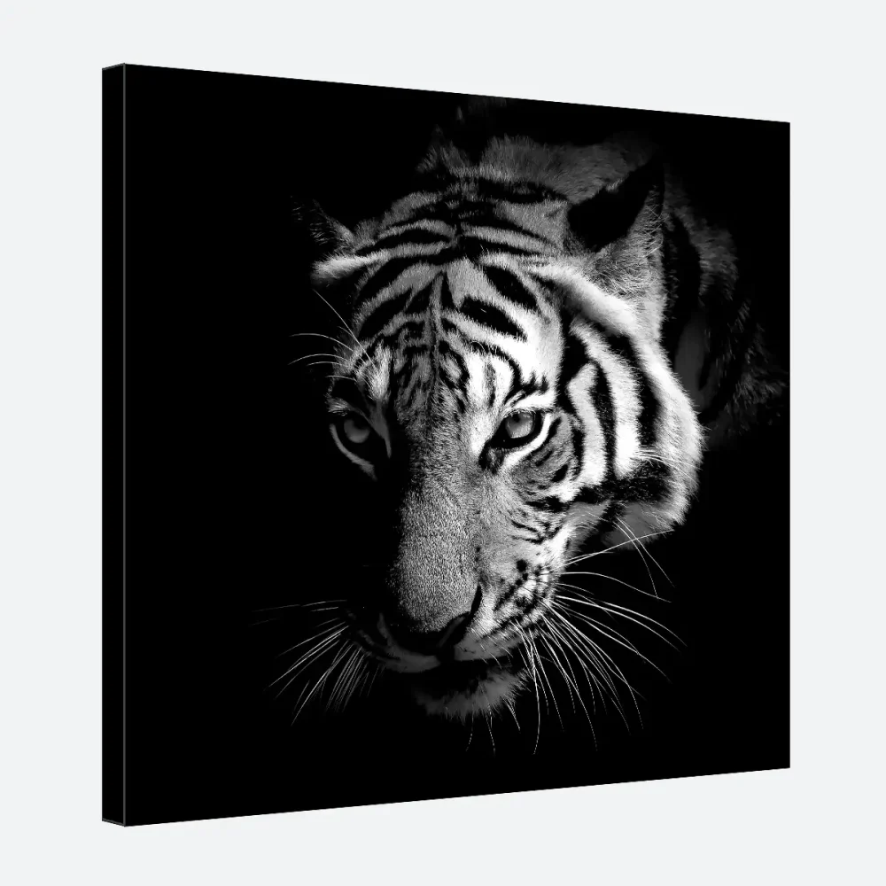 tableau-tigre-noir-et-blanc tableau tigre noir et blanc